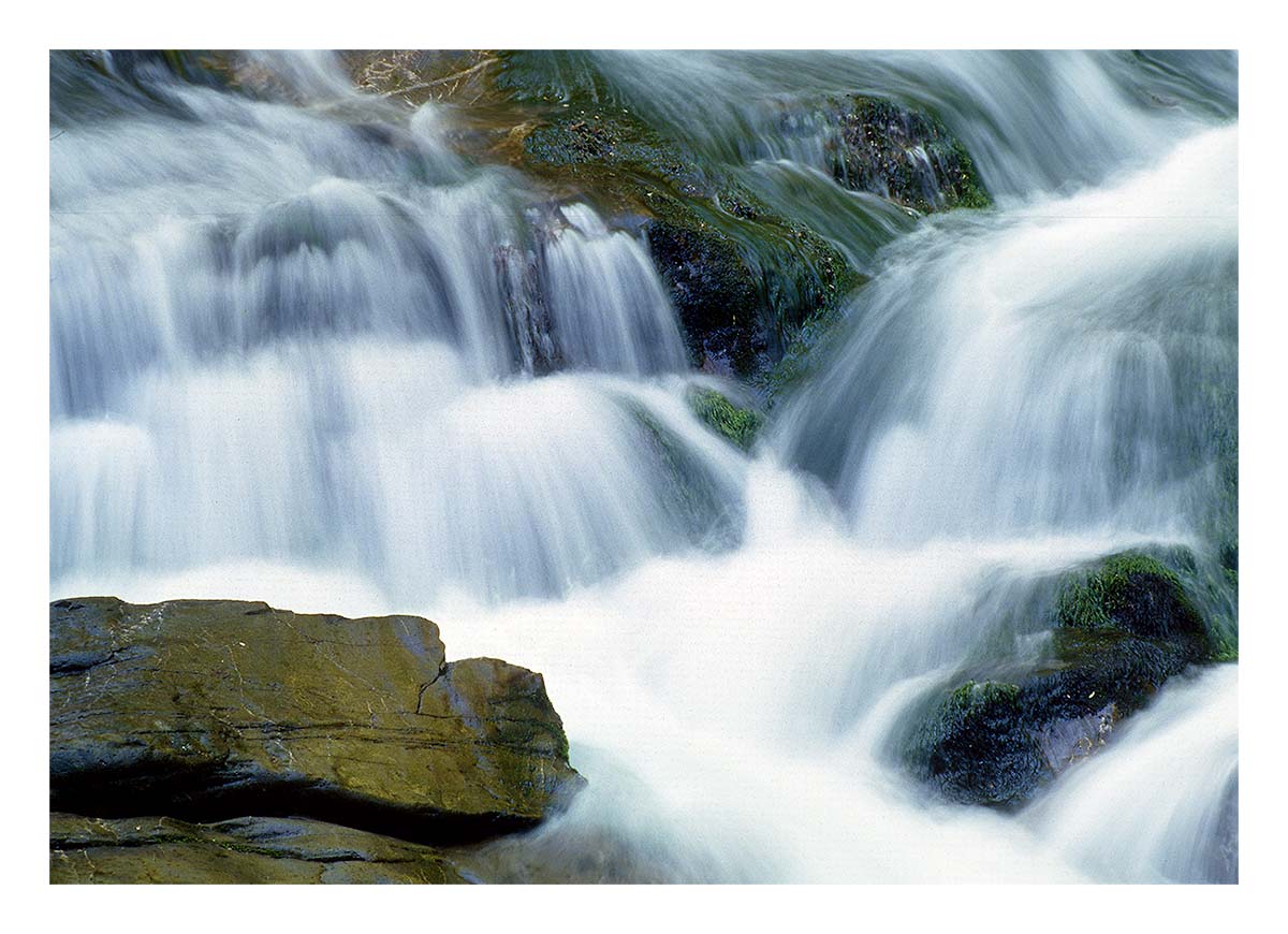 Smoky Mountains NP